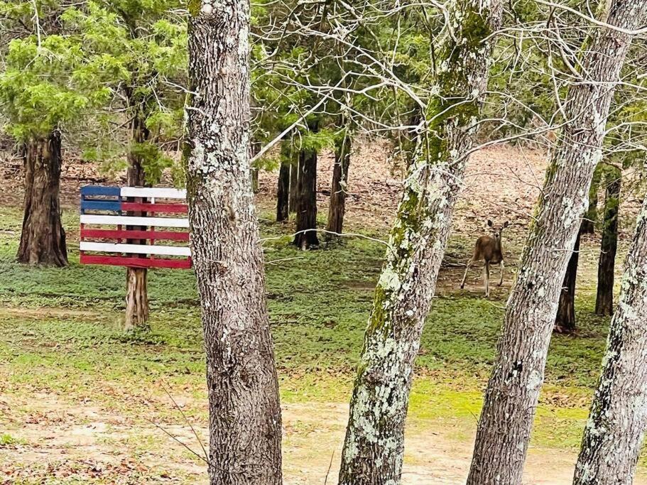 Bastrop Tiny Disc Golf Retreat Villa Eksteriør billede